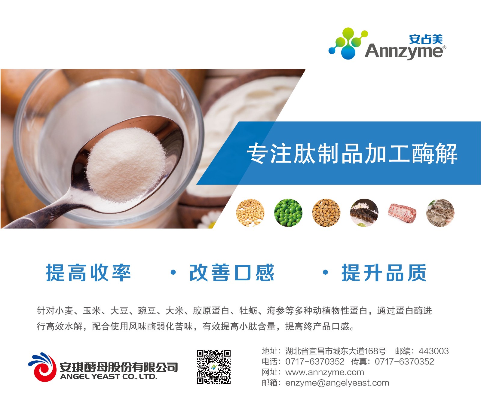 安占美肽制品加工用酶