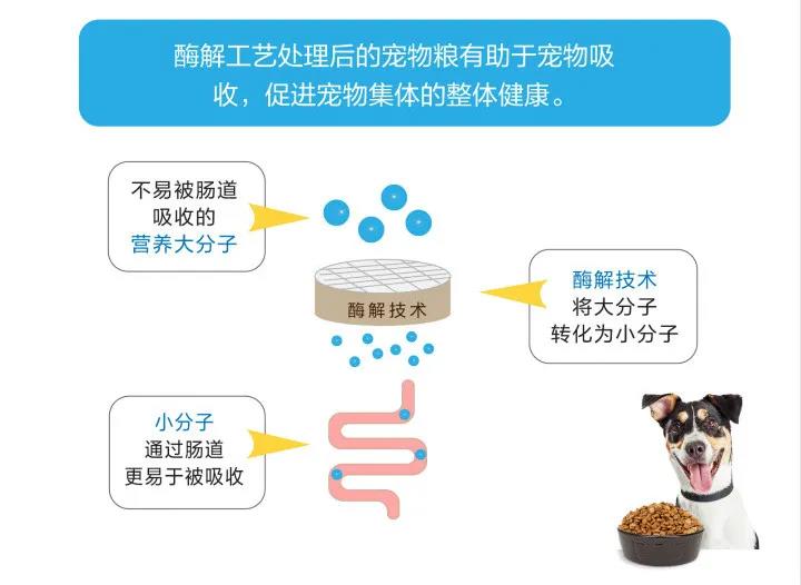 酶解技術(shù)在寵物食品中的應(yīng)用.jpg