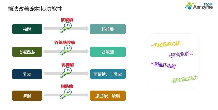 酶制劑對寵物糧功能營養(yǎng)性的影響